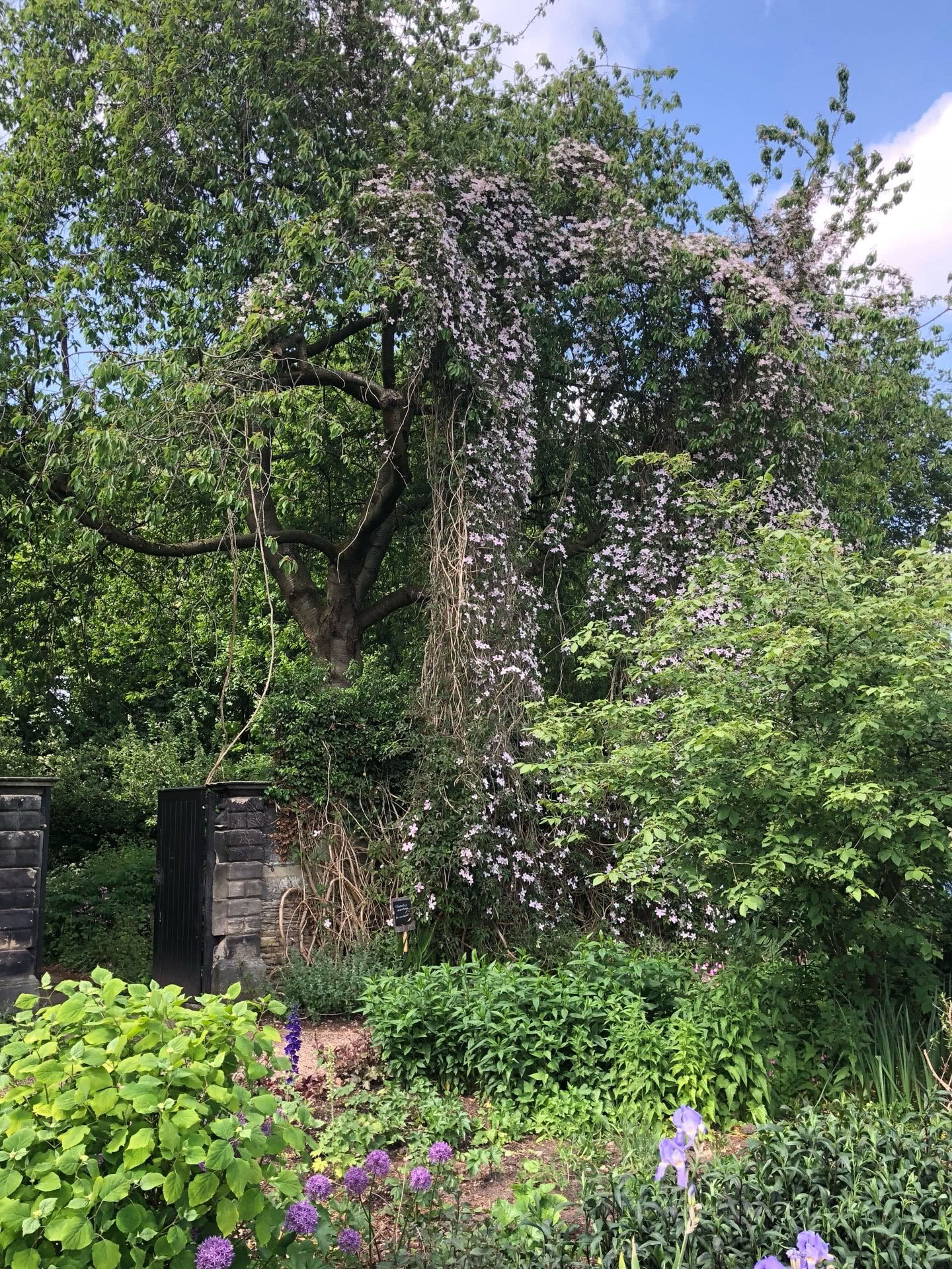 Checked in at East Riddlesden Hall