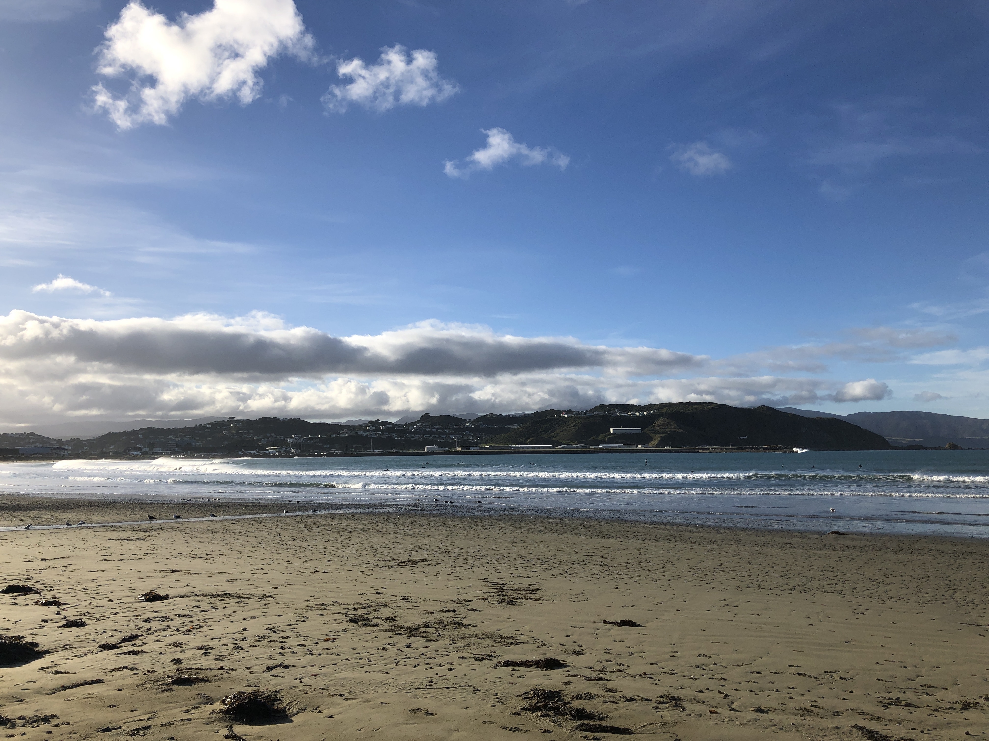 Lyall Bay 